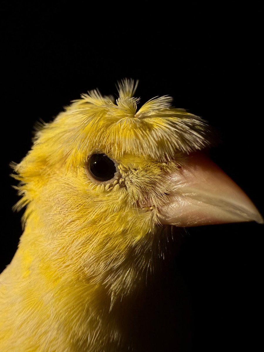 RashidBin3's tweet image. #shotoniphone #iPhone16ProMax #shotandeditedoniphone