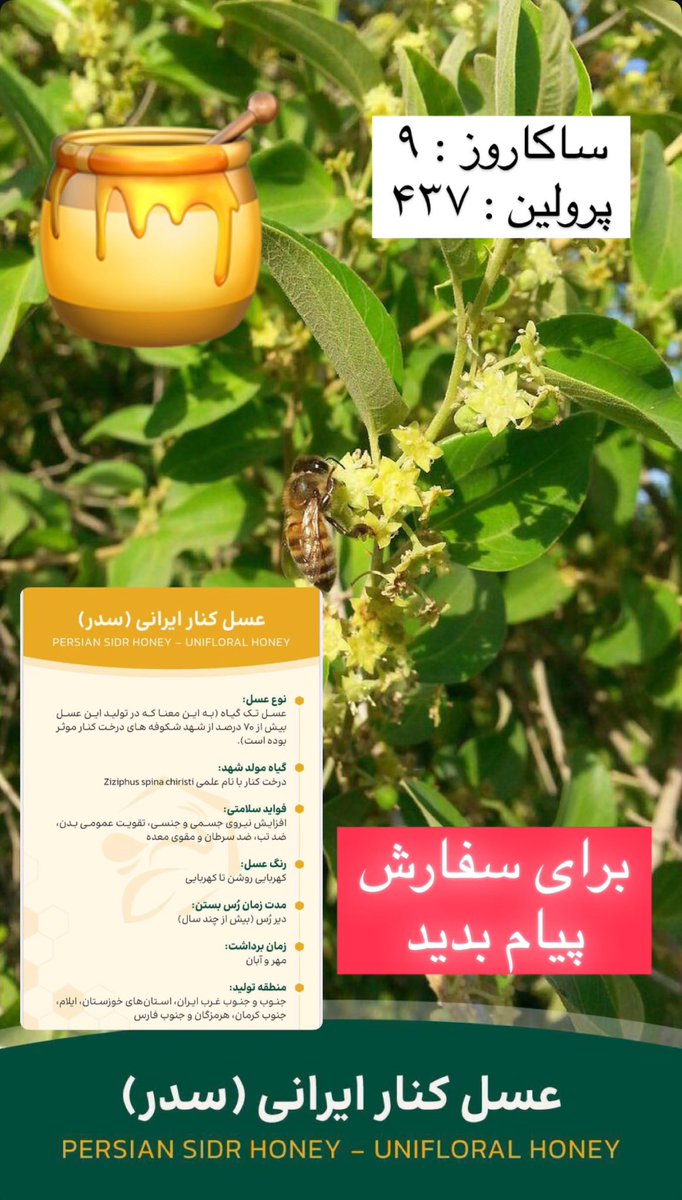 1mohitban's tweet photo. اگه به عسل کاملاً طبیعی و مطمئن دسترسی ندارید من چند نوع عسل اعلا پیدا کردم که در آزمایشگاه معتبر هم نمره قبولی گرفته و توسط یک متخصص کاربلد (دکتر بهزاد رفاهی) تأیید شده.
برای اطلاعات بیشتر و سفارش به من پیام بدید تا براتون به هرجای ایران پست کنم...

#عسل #عسل_طبیعی https://t.co/RNhcYlOEMk