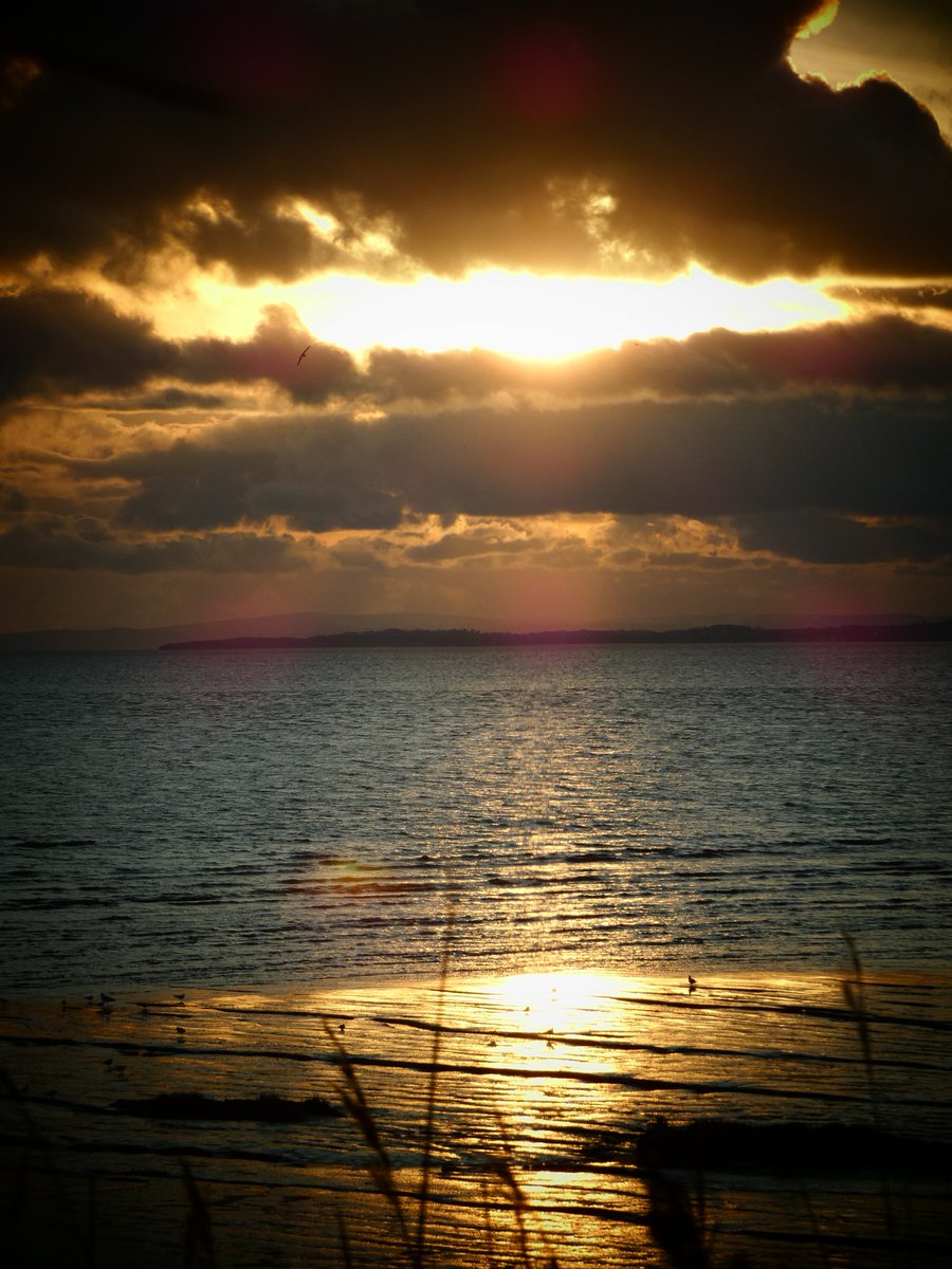 Lovely skies and murmurations down at Newport Wetlands today. Heard the little owl, the call of the curlews and thousands of beating wings 😁 The starlings seem to be choosing different reed beds at night so a bit harder to find at the mo <a href="/RSPBNewport/">RSPB Newport Wetlands</a> thanks <a href="/angnatur/">Angharad</a>
