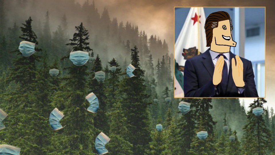 Gabin Noosum tweet media