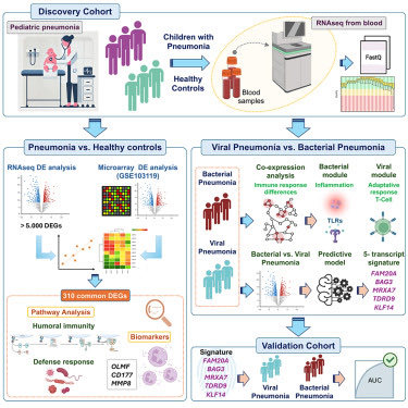Federico Martinón-Torres (@fedemartinon) on Twitter photo Our last paper at <a href="/iScience_CP/">iScience journal</a> A 5-transcript signature for discriminating viral and bacterial etiology in pediatric pneumonia sciencedirect.com/science/articl… <a href="/GENVIP_RESEARCH/">GENVIP</a> <a href="/AntonioSalasUSC/">AntonioSalasEllacuriaga</a> <a href="/DIAMONDS_2020/">DIAMONDS</a> <a href="/PERFORM_2020/">PERFORM</a> Our last paper at <a href="/iScience_CP/">iScience journal</a> A 5-transcript signature for discriminating viral and bacterial etiology in pediatric pneumonia sciencedirect.com/science/articl… <a href="/GENVIP_RESEARCH/">GENVIP</a> <a href="/AntonioSalasUSC/">AntonioSalasEllacuriaga</a> <a href="/DIAMONDS_2020/">DIAMONDS</a> <a href="/PERFORM_2020/">PERFORM</a>