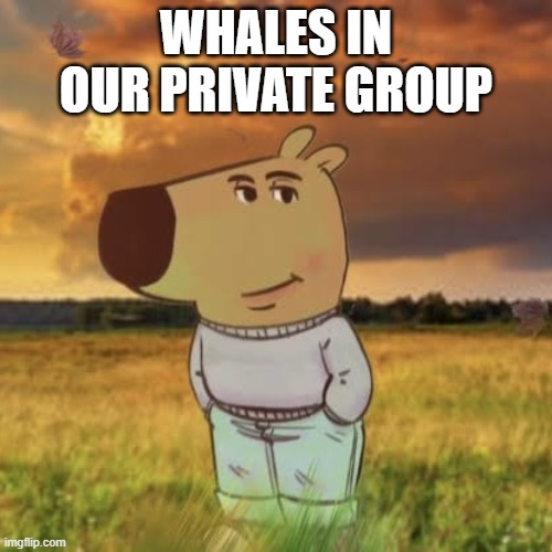 changerofficial's tweet photo. Our whales are just chillin' in our Whales Groupchat 😎

Be part of it now! See the tweet below to learn more ⬇️
https://t.co/SRJ5loiWKp https://t.co/Tju4fzwpMC