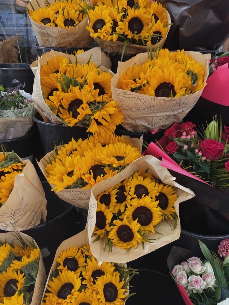 sunflowerchives's tweet image. beautiful