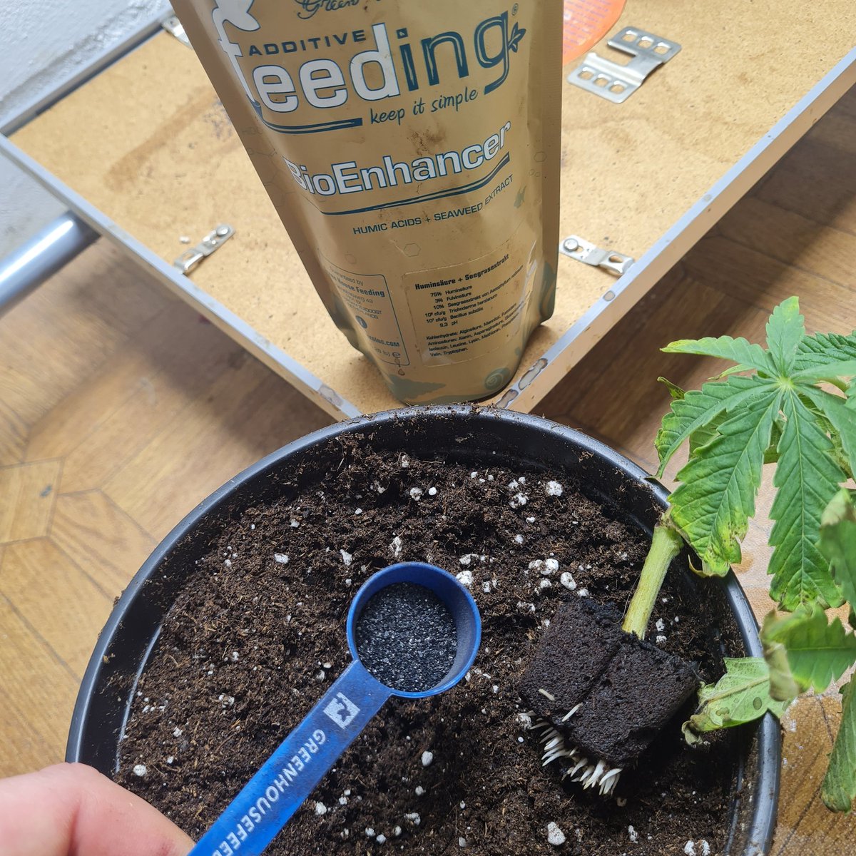 WeedJuice.io tweet media