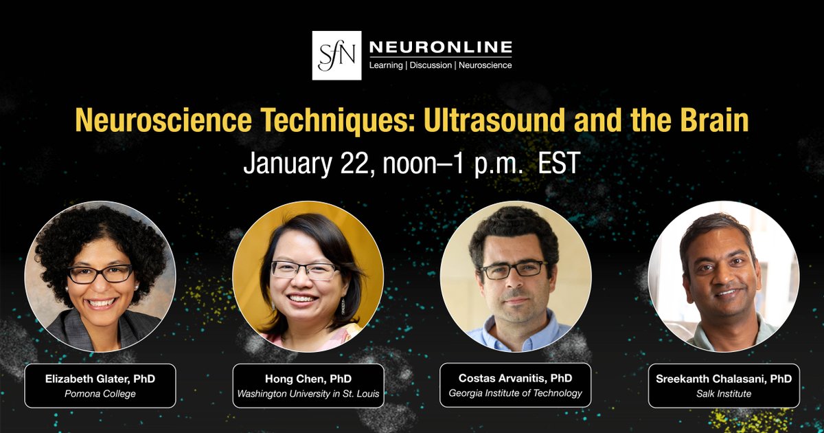 Join moderator Elizabeth Glater, PhD, and speakers Costas Arvanitis, PhD, Sreekanth Chalasani, PhD, and Hong Chen, PhD, as they present new frontiers in neuroscience techniques: the applications of ultrasound for neuroscience research in the upcoming Neuronline webinar.