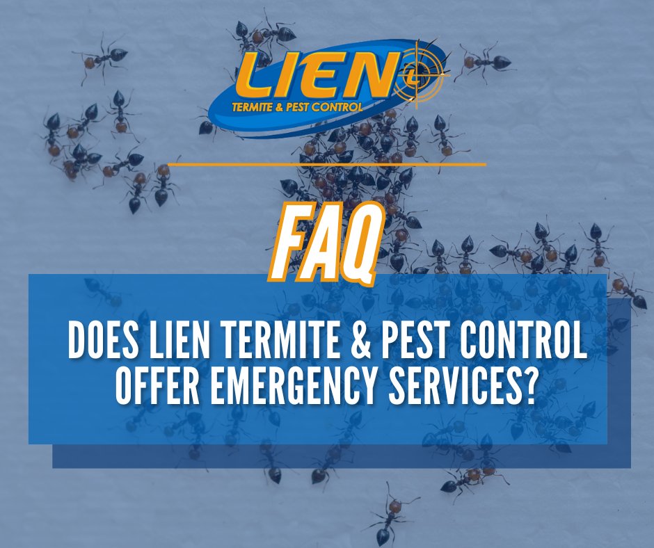LienTermite's tweet image. We provide quick and efficient emergency pest control services, often arriving within 24 hours to address your urgent needs. Lien Termite &amp;amp; Pest Control is here to respond swiftly and restore your peace of mind. #emergencypestcontrol #lienonus #peaceofmind #faq