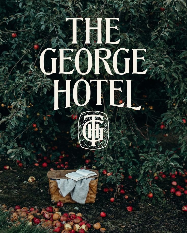 rileythedesigner tweet media