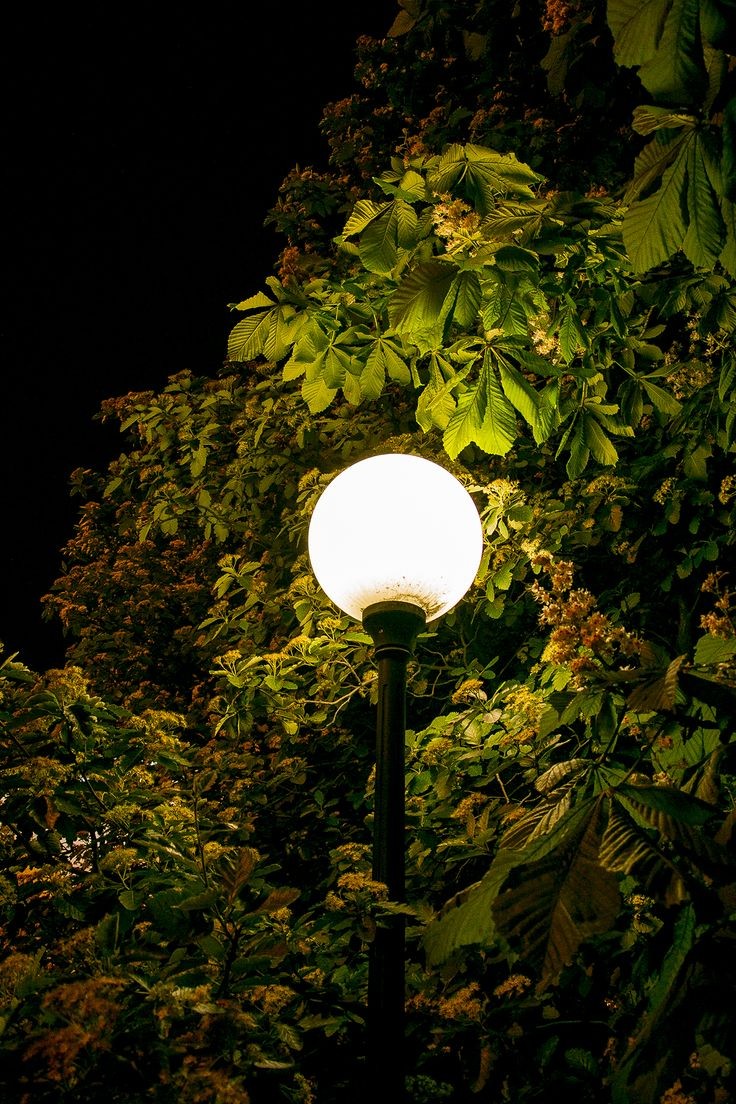 जब सफर में अकेला चलना आ जाए तो

 खुद से अच्छा हमसफ़र कोई नहीं होता।

Good night X mate