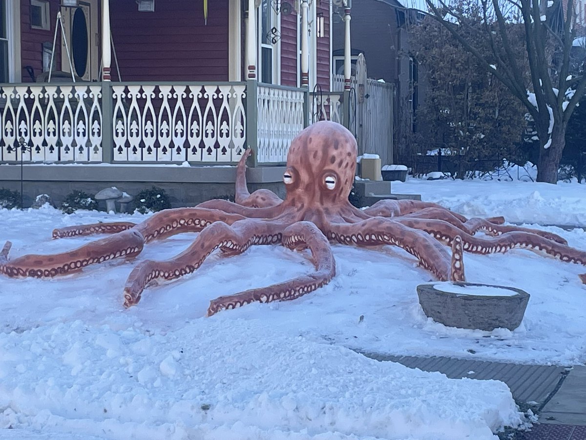 Kaitlyn Kendall (@kaitlynreports) on Twitter photo “The snow artist” is officially done with this year’s creation. On the south side of Greenfield you will find Rick Horton’s creation. It took 15 hours to create this giant octopus. <a href="/wrtv/">WRTV Indianapolis</a>
📸: <a href="/SheaGoodpaster/">Shea Goodpaster</a> “The snow artist” is officially done with this year’s creation. On the south side of Greenfield you will find Rick Horton’s creation. It took 15 hours to create this giant octopus. <a href="/wrtv/">WRTV Indianapolis</a>
📸: <a href="/SheaGoodpaster/">Shea Goodpaster</a>