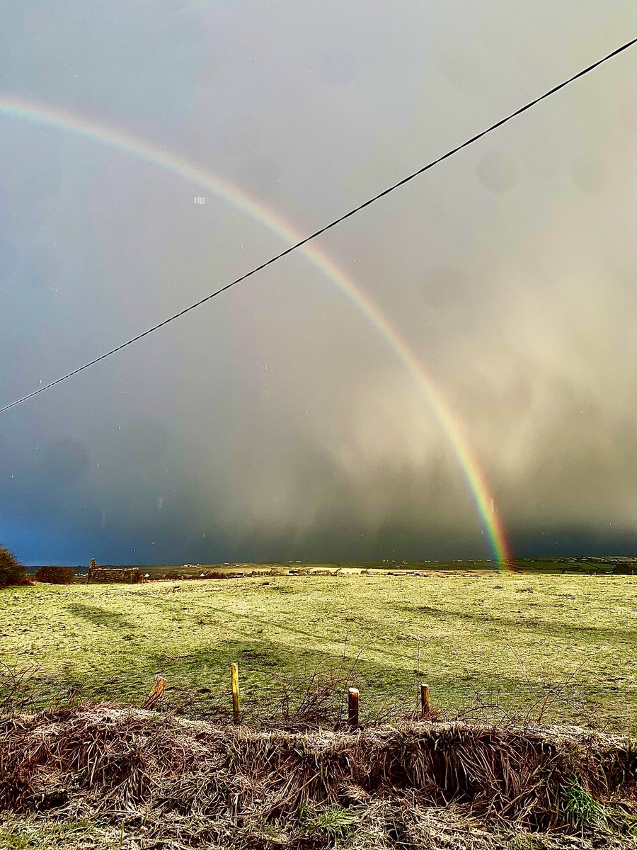 Aisling102's tweet photo. Spring 🌿🌈 https://t.co/H6zrFztpgx