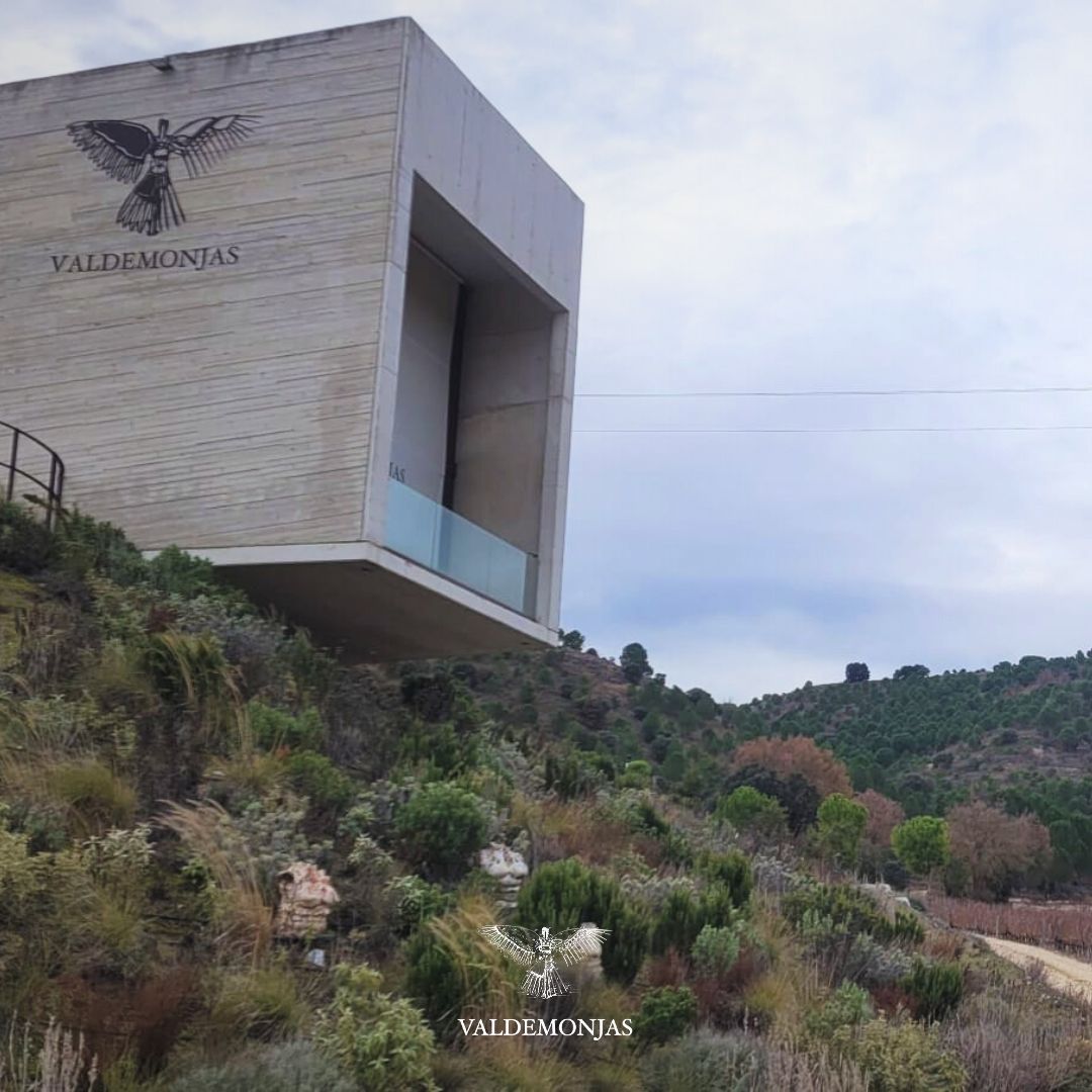 Bodega Valdemonjas tweet media
