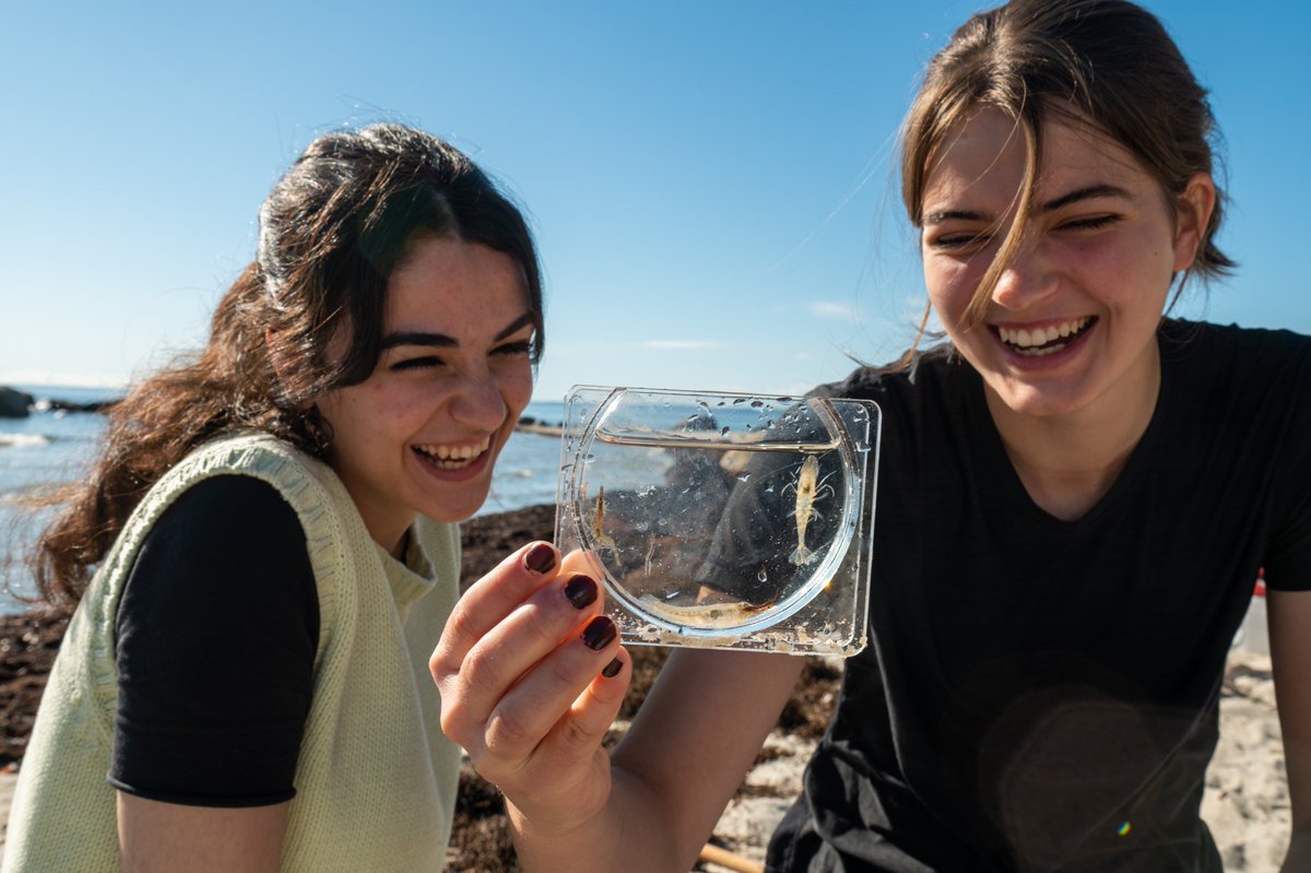 Need to start off the new year with some happy news? Check out some of our Baltic Sea conservation wins from 2024 👉 wwfbaltic.org/newsroom/marin…

#conservation #wins #BalticSea