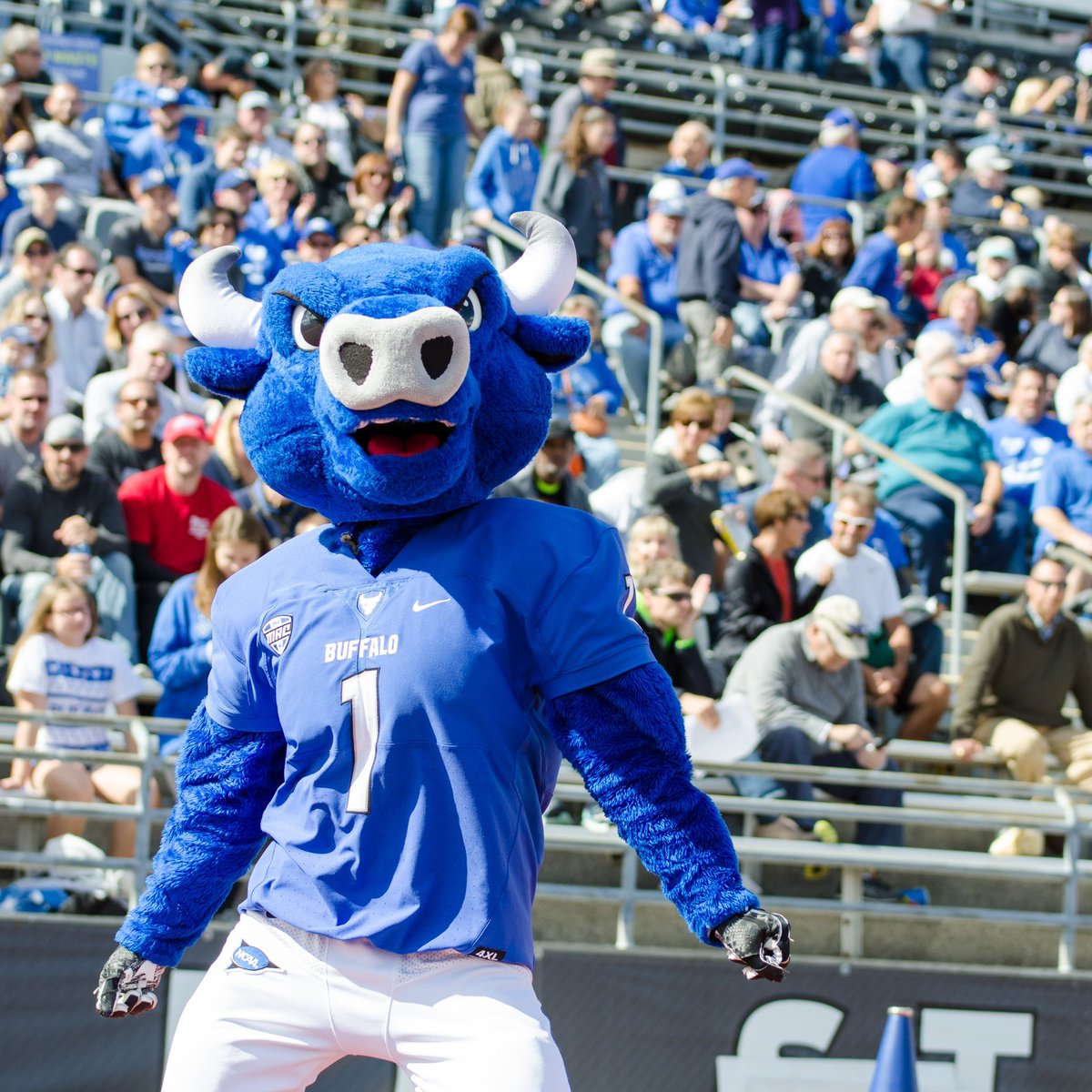 Donovan Triplett (@donovan_wlw) on Twitter photo #AGTG after a great conversation with <a href="/coach_cope/">Holman Copeland</a> I have received an offer from <a href="/UBFootball/">UB Football</a>
<a href="/coachcioroch/">Coach Cioroch</a> <a href="/AllenTrieu/">Allen Trieu</a> <a href="/247Sports/">247Sports</a> <a href="/MaxPreps/">MaxPreps</a> <a href="/TheD_Zone/">The D Zone</a> #AGTG after a great conversation with <a href="/coach_cope/">Holman Copeland</a> I have received an offer from <a href="/UBFootball/">UB Football</a>
<a href="/coachcioroch/">Coach Cioroch</a> <a href="/AllenTrieu/">Allen Trieu</a> <a href="/247Sports/">247Sports</a> <a href="/MaxPreps/">MaxPreps</a> <a href="/TheD_Zone/">The D Zone</a>