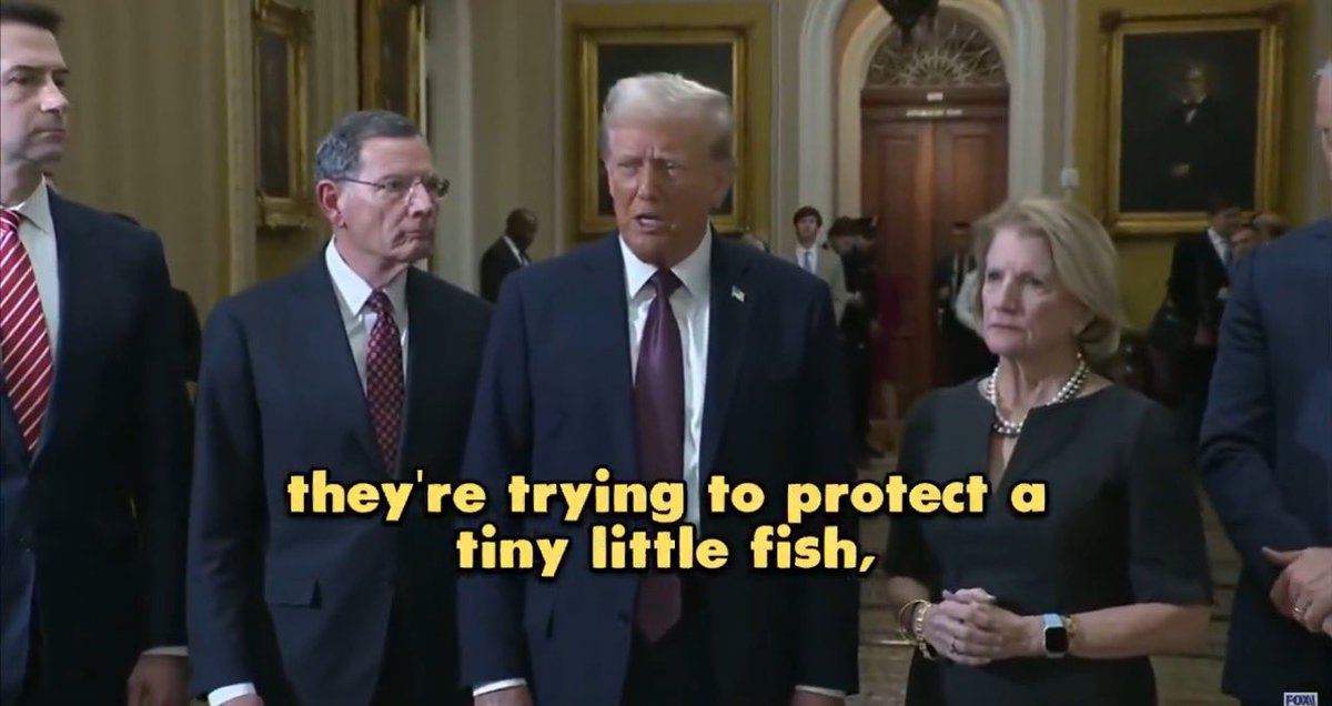 STARSEED ASTROLOGY 🇺🇸 tweet media