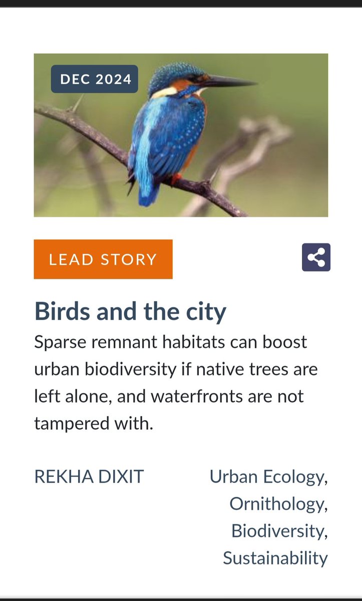 Rekha Dixit (@rekhadixit123) on Twitter photo Do cities of the future have a place for #birds, #bees and #biodiversity? Read my article in this cover package of <a href="/shaastramag/">Shaastra Magazine, IIT Madras</a> to know more
#urbanecology #urbanbirds #India2025
<a href="/upamanyuhore/">Upamanyu Hore</a>
shaastramag.iitm.ac.in/lead-story/bir… Do cities of the future have a place for #birds, #bees and #biodiversity? Read my article in this cover package of <a href="/shaastramag/">Shaastra Magazine, IIT Madras</a> to know more
#urbanecology #urbanbirds #India2025
<a href="/upamanyuhore/">Upamanyu Hore</a>
shaastramag.iitm.ac.in/lead-story/bir…