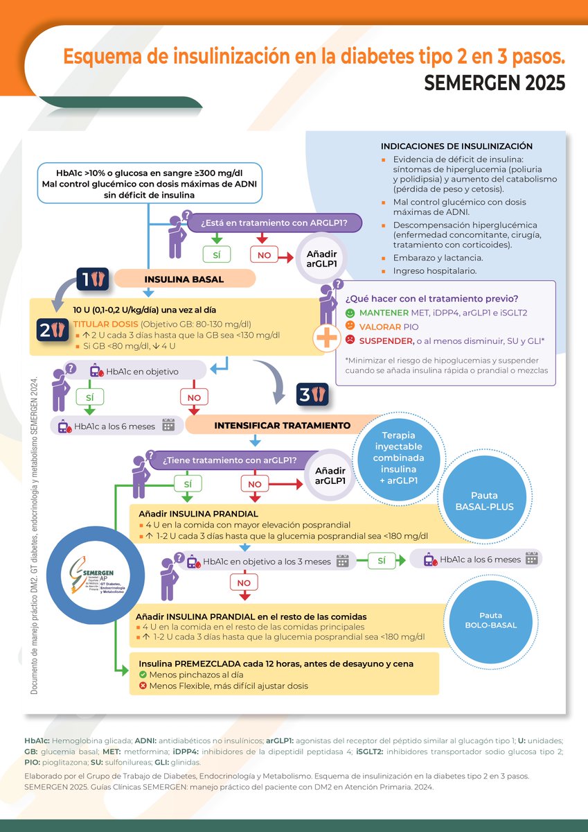 SEMERGEN | Médicos de Atención Primaria (@semergenap) on Twitter photo #Diabetes 📈INFOGRAFÍA. 💉Esquema de insulinización en la Diabetes tipo 2 en 3 pasos. SEMERGEN 2025.
Realizado por el Grupo de Trabajo de Diabetes, Endocrinología y Metabolismo <a href="/SemergenGTDM/">GT Diabetes Semergen</a> #Diabetes 📈INFOGRAFÍA. 💉Esquema de insulinización en la Diabetes tipo 2 en 3 pasos. SEMERGEN 2025.
Realizado por el Grupo de Trabajo de Diabetes, Endocrinología y Metabolismo <a href="/SemergenGTDM/">GT Diabetes Semergen</a>