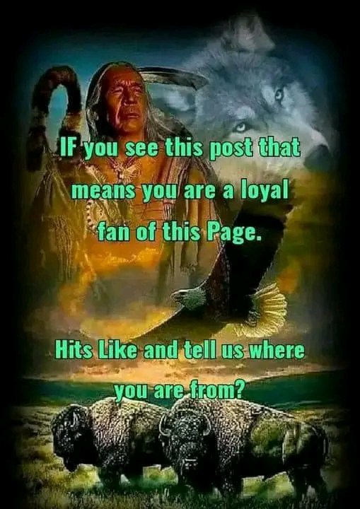 Native American tweet media