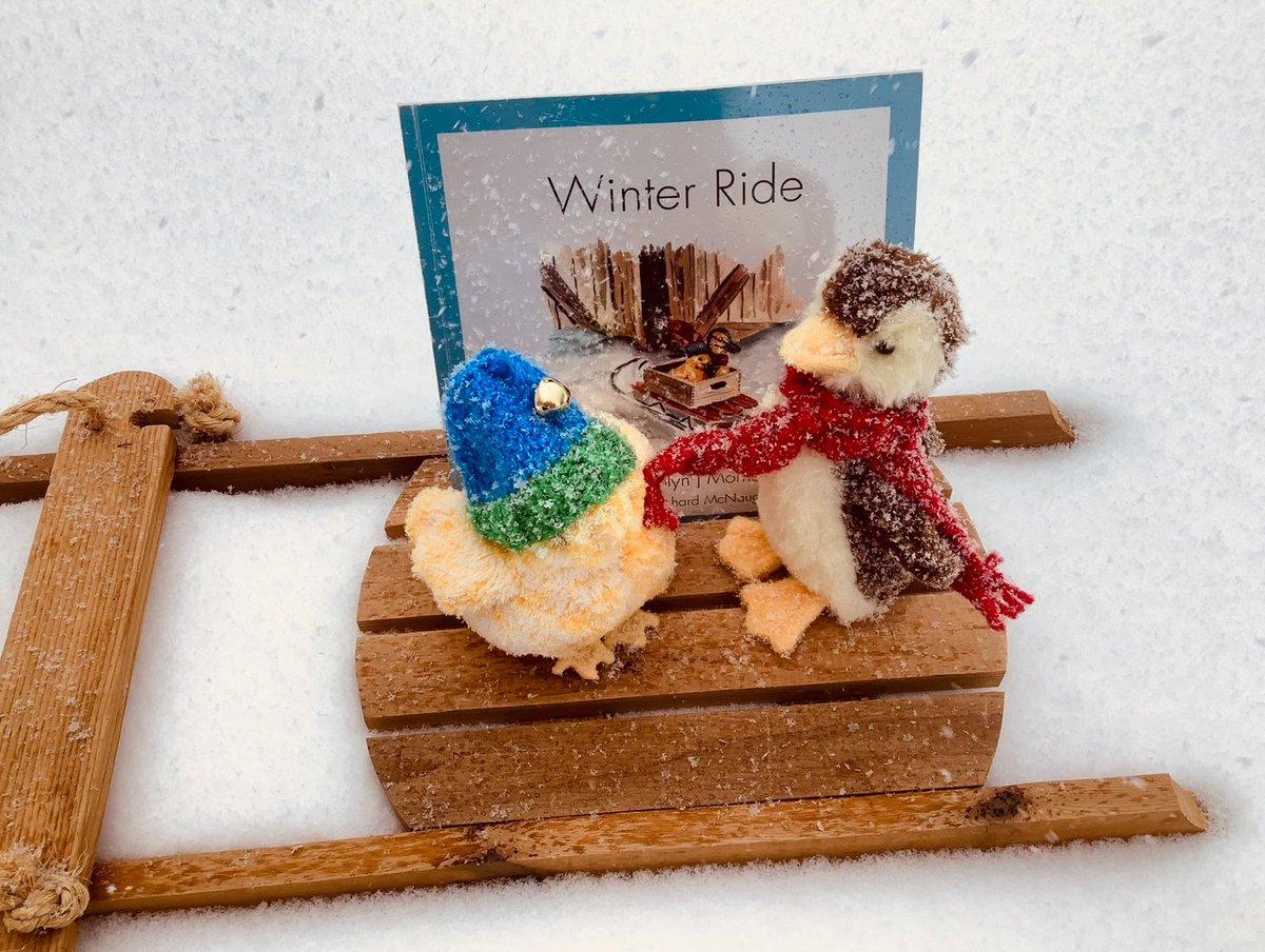 CarolynjMorris's tweet photo. There’s enough snow for a Winter Ride with Chick and Duckling.
#RailfenceBooks #EarlyLiteracy https://t.co/opbiZQRiBH