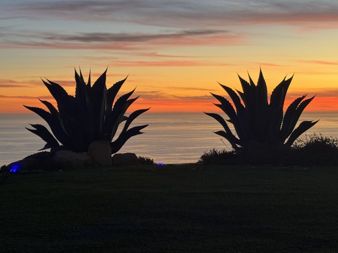 Rest in peace @rorysykes Mount Malibu