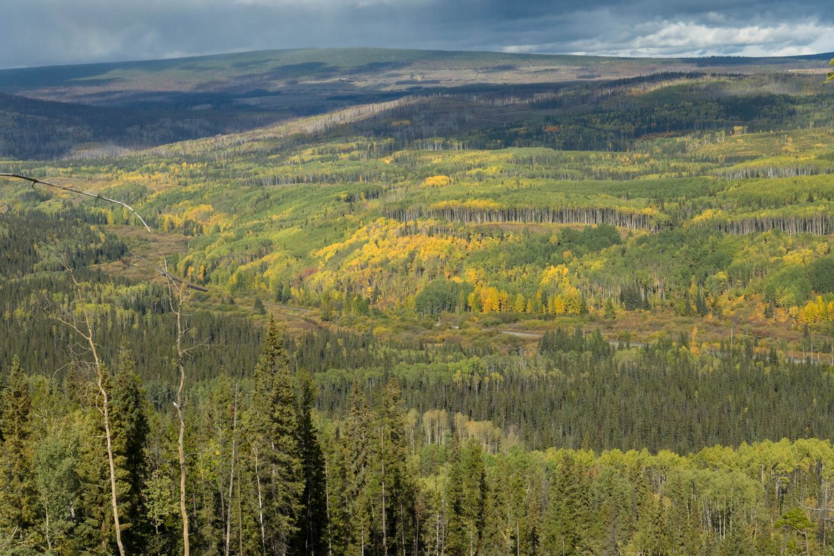 Mighty Earth 🌍 tweet media