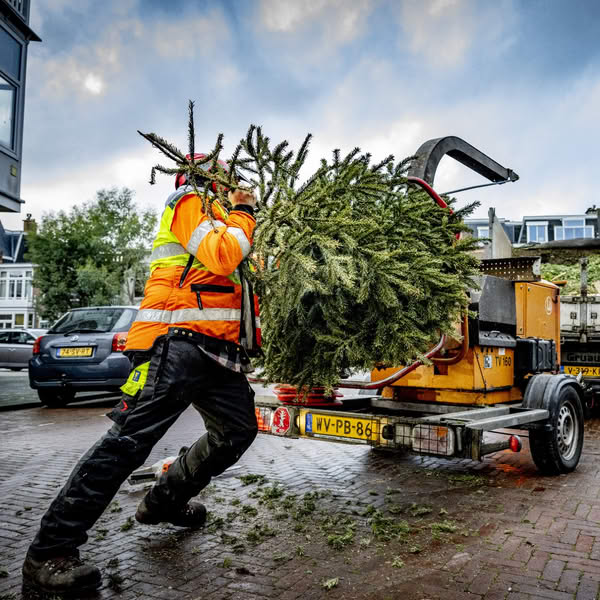 Say goodbye to your 🎄in 4 steps! 

1️⃣ Check the household waste calendar for the collection days as of 6 January 2025: huisvuilkalender.denhaag.nl
2️⃣ Remove all decorations from the tree and say goodbye👋
3️⃣ Place your tree on the sidewalk before 7.45 hrs.
4️⃣ Enjoy the new year! 💖