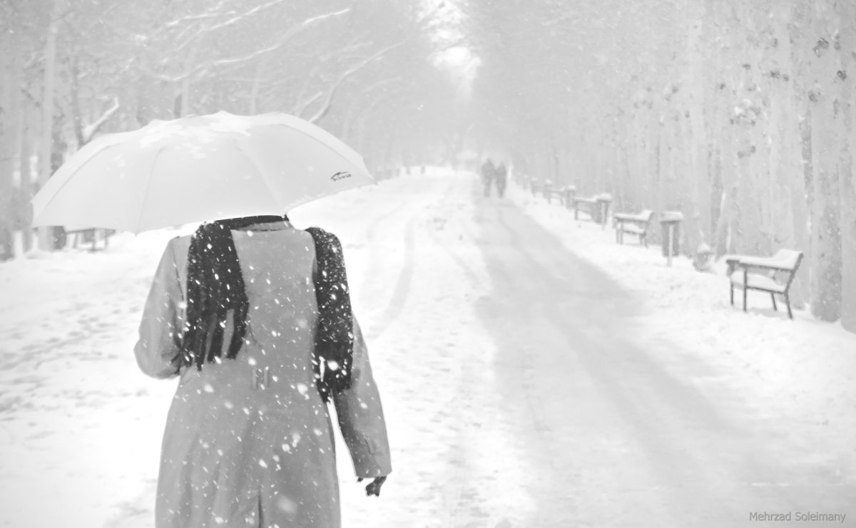 Mehrzad_sol's tweet photo. #photography #عکاسی #blackandwhitephotography https://t.co/0i6GyqRrTj