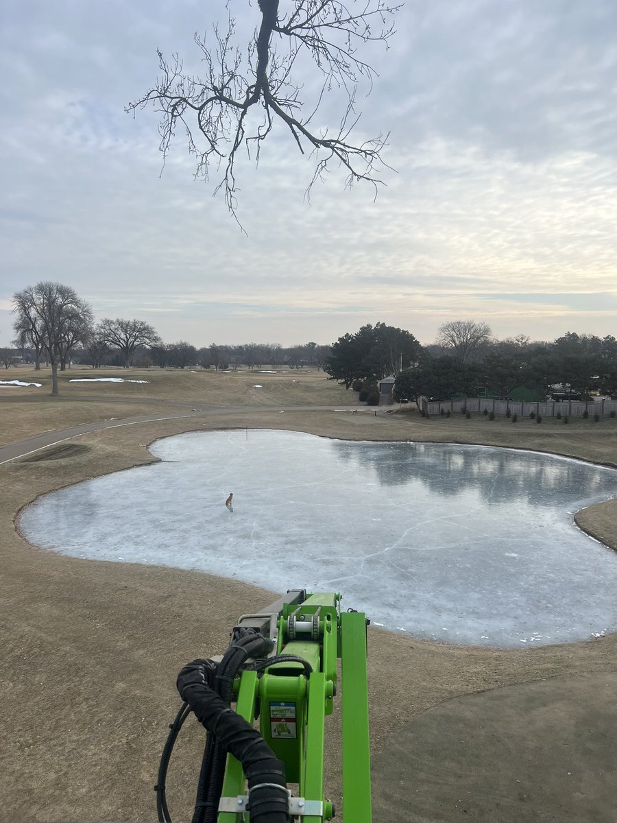 Kinley loves lift work.