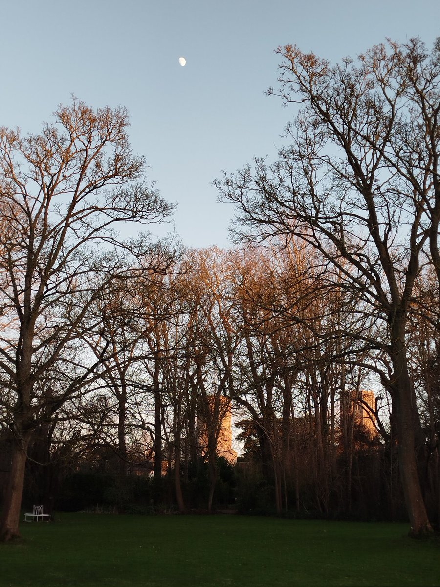 Holy afternoon moon time .
👌