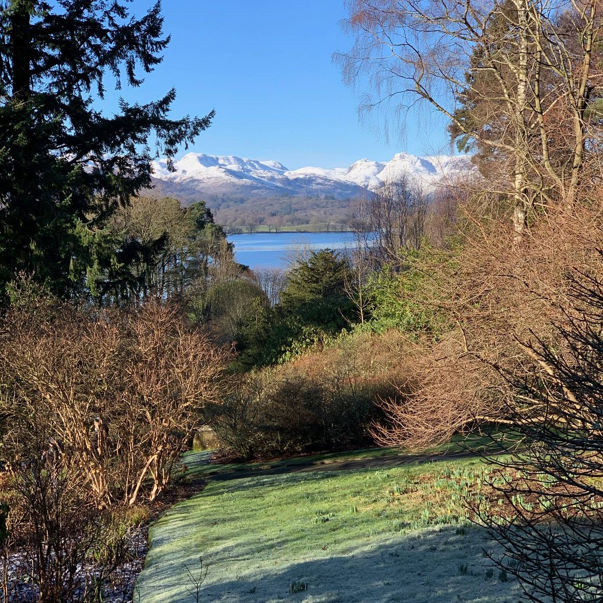 Brockhole tweet media