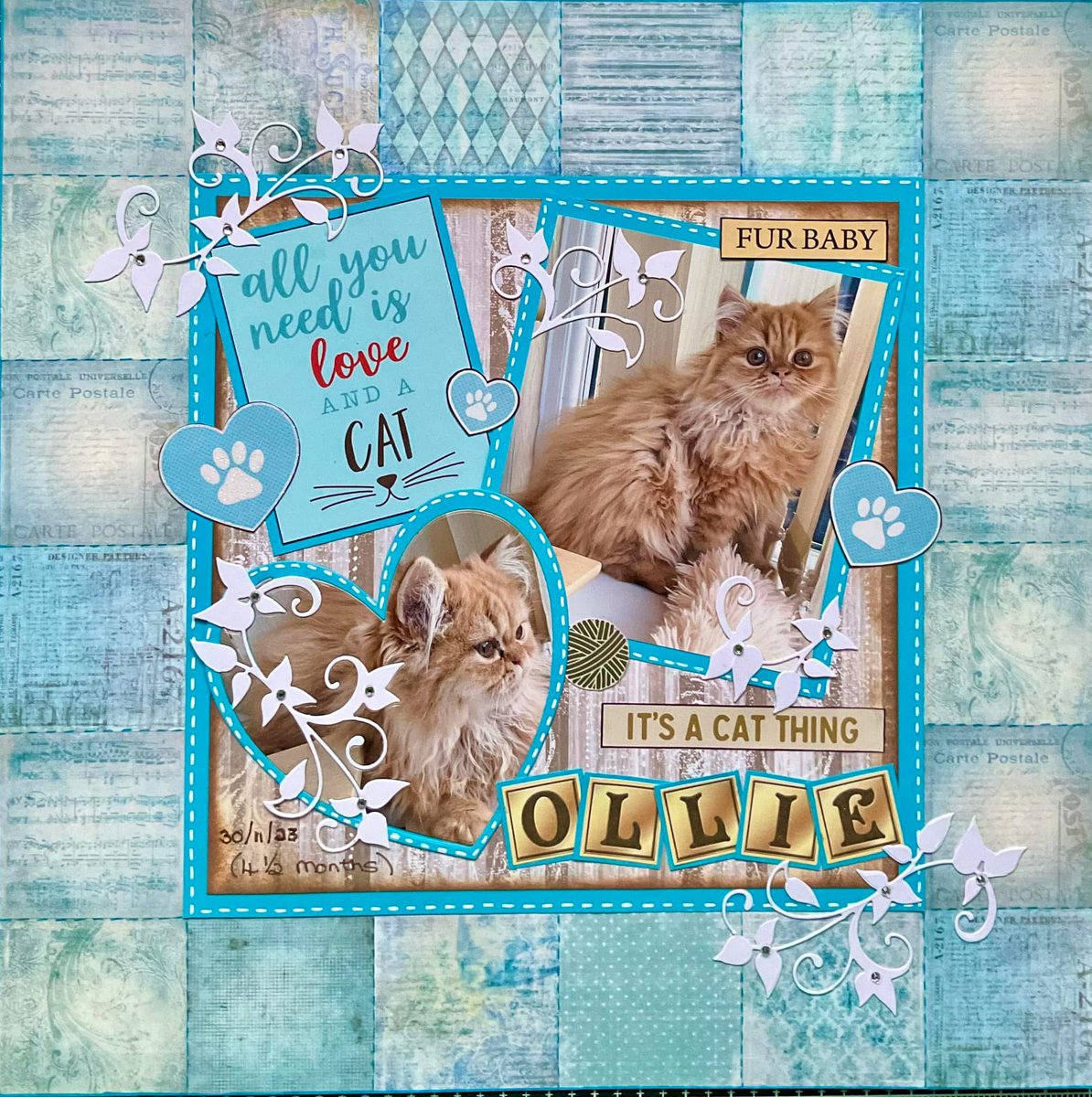 Two scrapbook pages that I’ve completed recently featuring our cat Ollie in November 2023 when he was just 4 months old.
#persiankitten #scrapbooking #crafting #scrapbooklayout