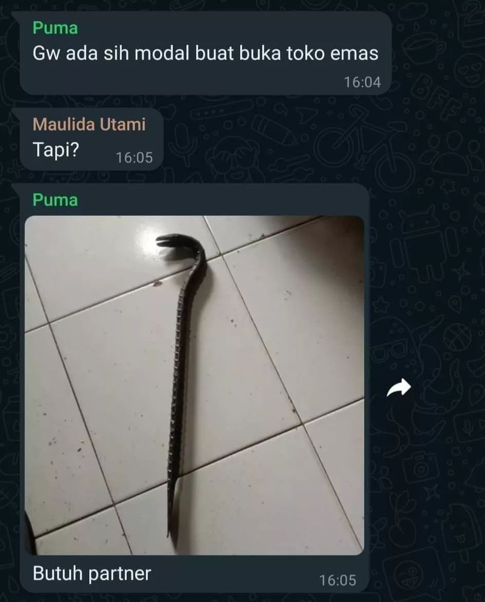 acul ibnu ali tweet media