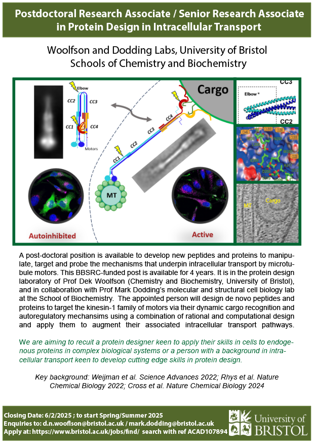 Mark Dodding (@markdodding) on Twitter photo We have a new 4-year postdoctoral position available working between our lab an the <a href="/WoolfsonLab/">WoolfsonLab</a> <a href="/BristolBiochem/">Bristol Biochemistry</a> <a href="/BristolChem/">Bristol Chemistry</a> applying protein design approaches to control intracellular transport. More info on flyer. Get in touch! We have a new 4-year postdoctoral position available working between our lab an the <a href="/WoolfsonLab/">WoolfsonLab</a> <a href="/BristolBiochem/">Bristol Biochemistry</a> <a href="/BristolChem/">Bristol Chemistry</a> applying protein design approaches to control intracellular transport. More info on flyer. Get in touch!