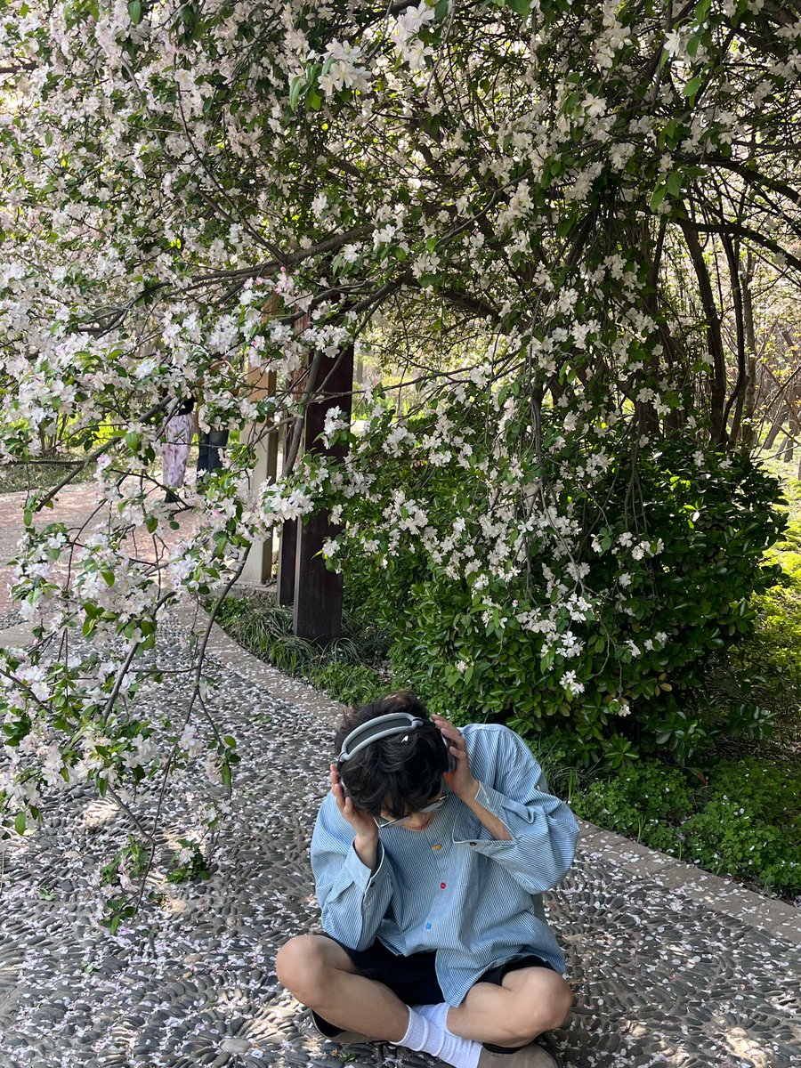 纸皮花生酥 (@polariaty) on Twitter photo 