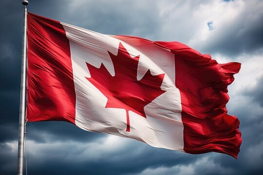 CalpoOrg's tweet image. It’s nice eh?