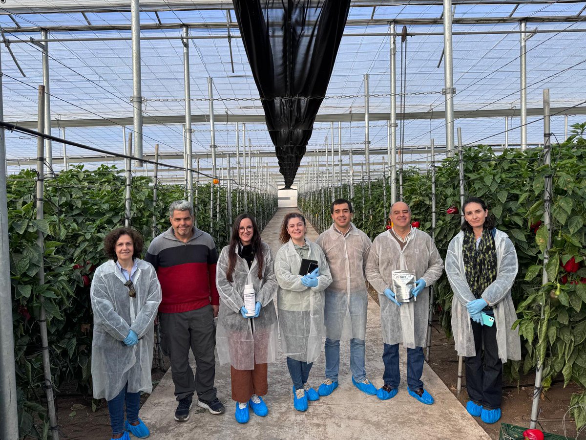 Plant Health Care tweet media