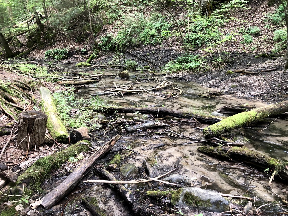 Jacob Bowman tweet media