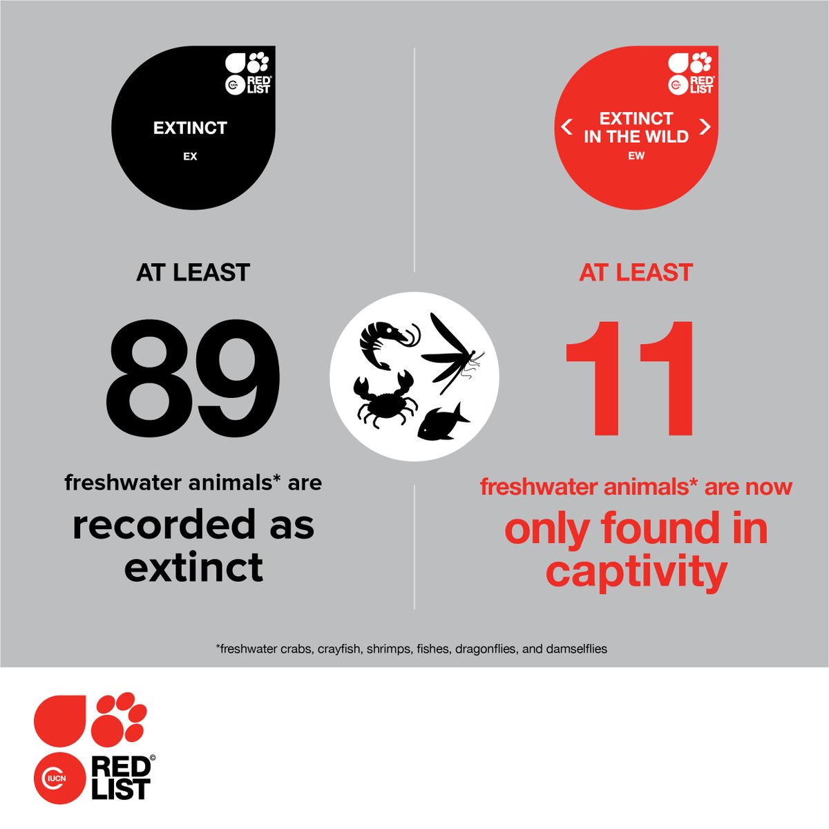 3/ Sadly, 89 extinctions of freshwater animals have already been reported. An additional 11 species are considered to be Extinct in the Wild because they are now only found in captivity.

Graphic © Sarah Streyle/Conservation International