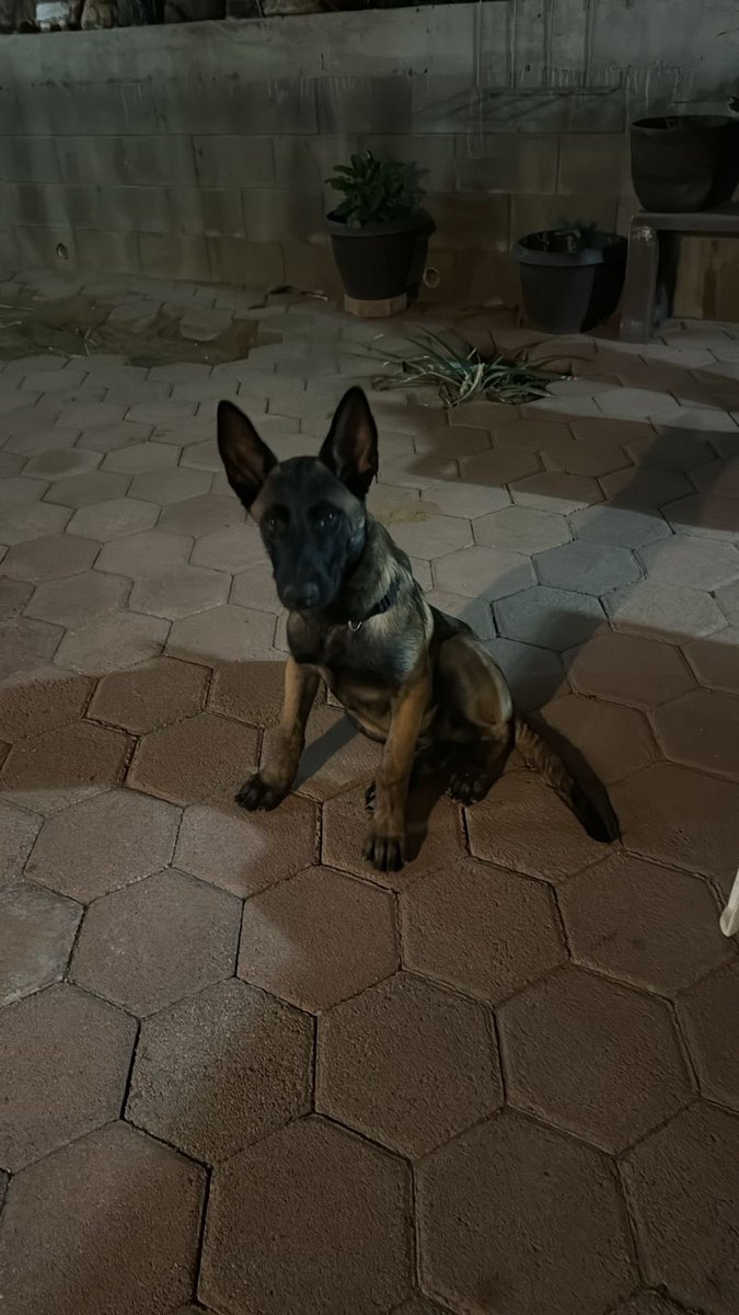 ZombieMan tweet media