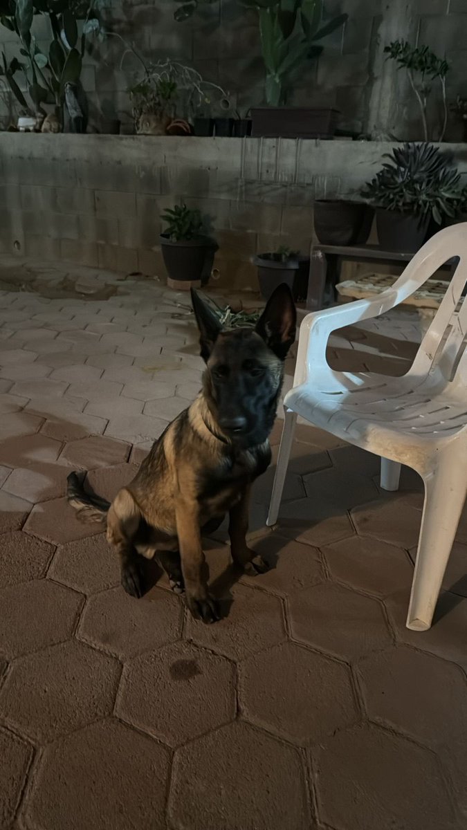 ZombieMan tweet media