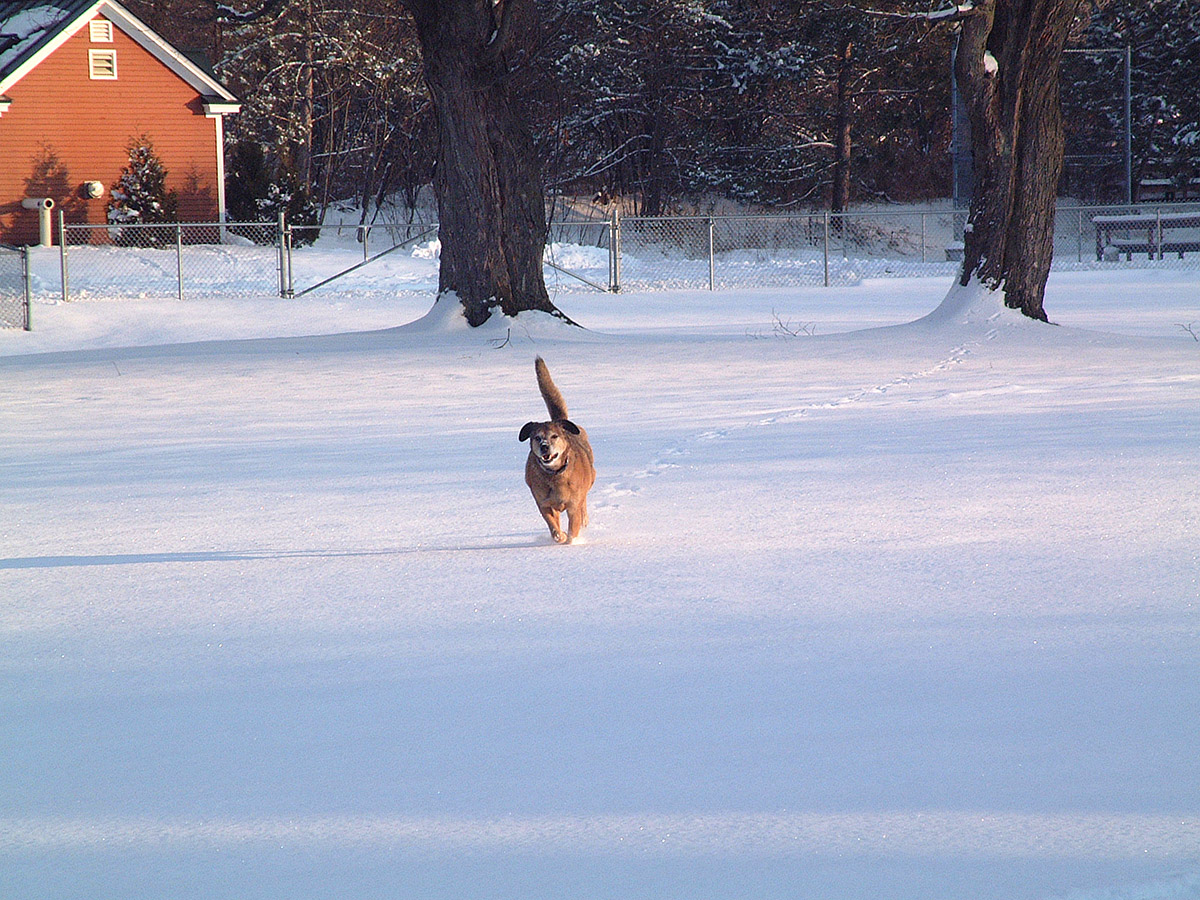 Adam Ford tweet media