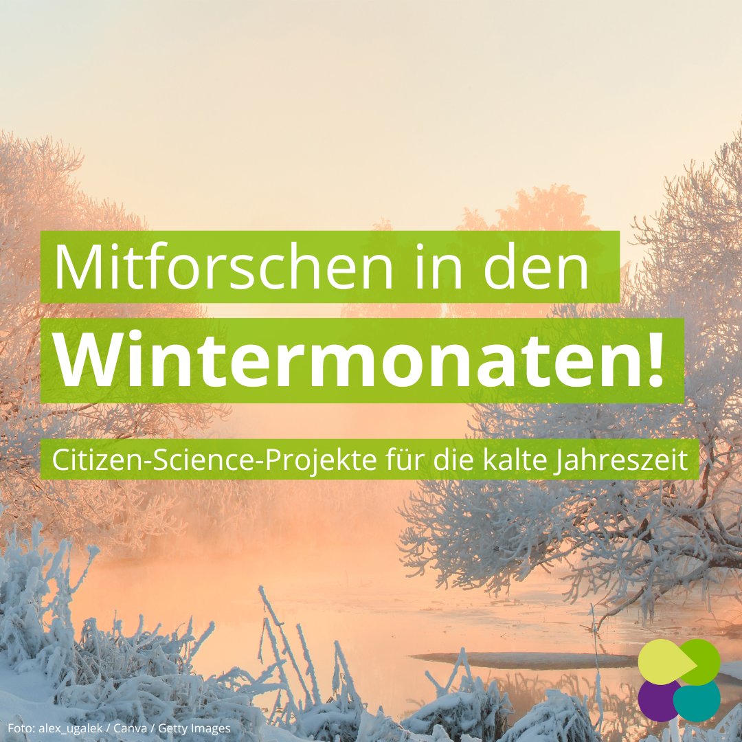 mitforschen's tweet image. Winterblues? Wir haben 9 spannende #CitizenScience-Projekte für euch! Egal ob Vogelliebhaber*in, Geschichtsfan oder Tiefseeforscher*in – drinnen oder draußen, es ist für jede*n etwas dabei. Wie ihr mitforschen könnt, erfahrt ihr auf unserem Blog: mitforschen.org/blog/winter-ci…