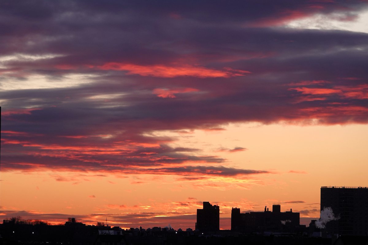 PC (@paminnyc) on Twitter photo Positive photo day 1760: This morning's #sunrise over the #Bronx reminded me of the horrific photos and videos from #LosAngeles. I'm sending positive thoughts to all my friends and family affected. No #birdphotography today. <a href="/BirdBronx/">Bronx Bird Alert</a> Positive photo day 1760: This morning's #sunrise over the #Bronx reminded me of the horrific photos and videos from #LosAngeles. I'm sending positive thoughts to all my friends and family affected. No #birdphotography today. <a href="/BirdBronx/">Bronx Bird Alert</a>