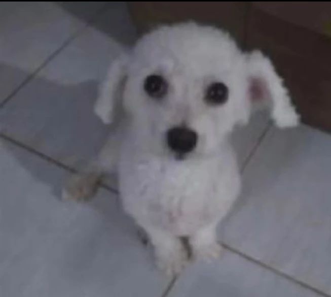 solte um ? que eu te dou um desses

1 : deitava na faca
2 : amigava
3 : te adoro
4 : gosto quando interage comigo
5 : primeira vez que vejo
6 : acho seu perfil lindo
7 : favs