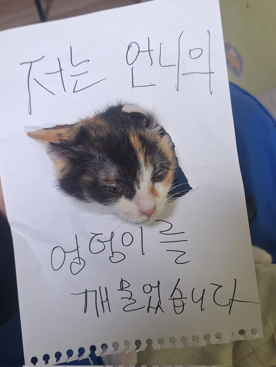 기록용 (@iji1129043) on Twitter photo 