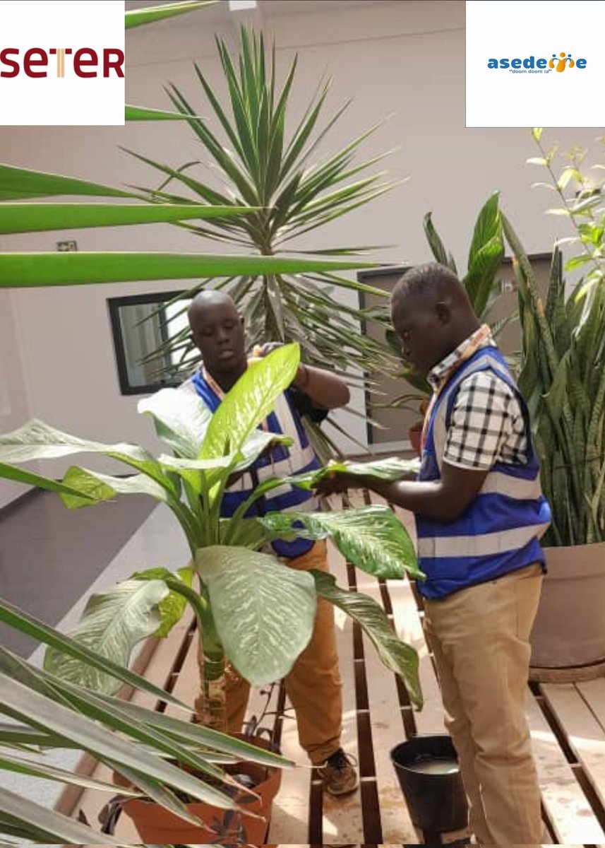 Association Asedeme tweet media