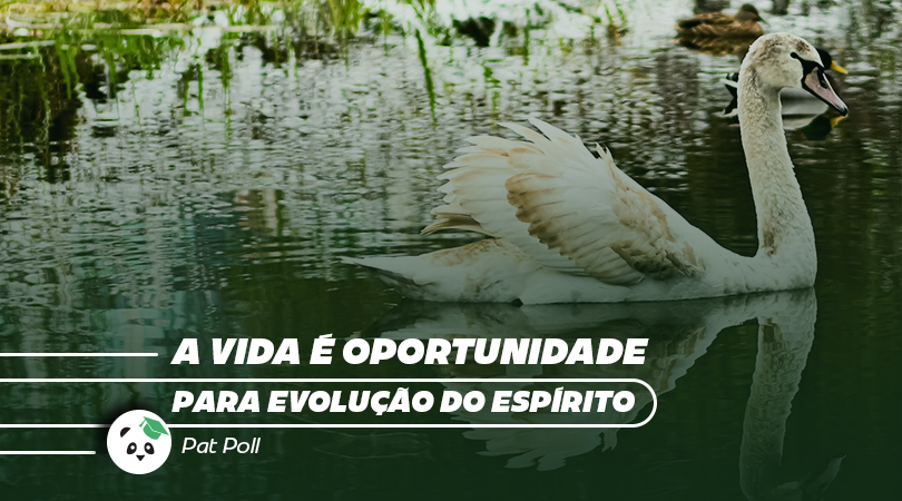 esc_novaenergia's tweet photo. Responda sinceramente para você mesmo; você está aproveitando essa oportunidade ou só está tentando controlar o caos, com medo, com preguiça, com passividade?
Amor
@patpoll
Equipe Hélio Couto
Continue lendo no blog:
https://t.co/wLRfuLvw3Z
#heliocouto #patpoll #ene #amor https://t.co/e3avOv1s2G