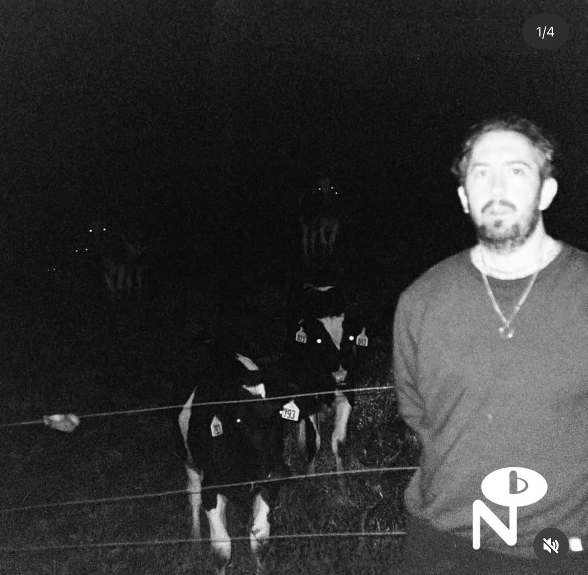 NothingĀ® (@bandofnothing) on Twitter photo Put together a playlist for the legendary <a href="/numerogroup/">numerogroup</a> you can check it out here
shorturl.at/waZ2m Put together a playlist for the legendary <a href="/numerogroup/">numerogroup</a> you can check it out here
shorturl.at/waZ2m