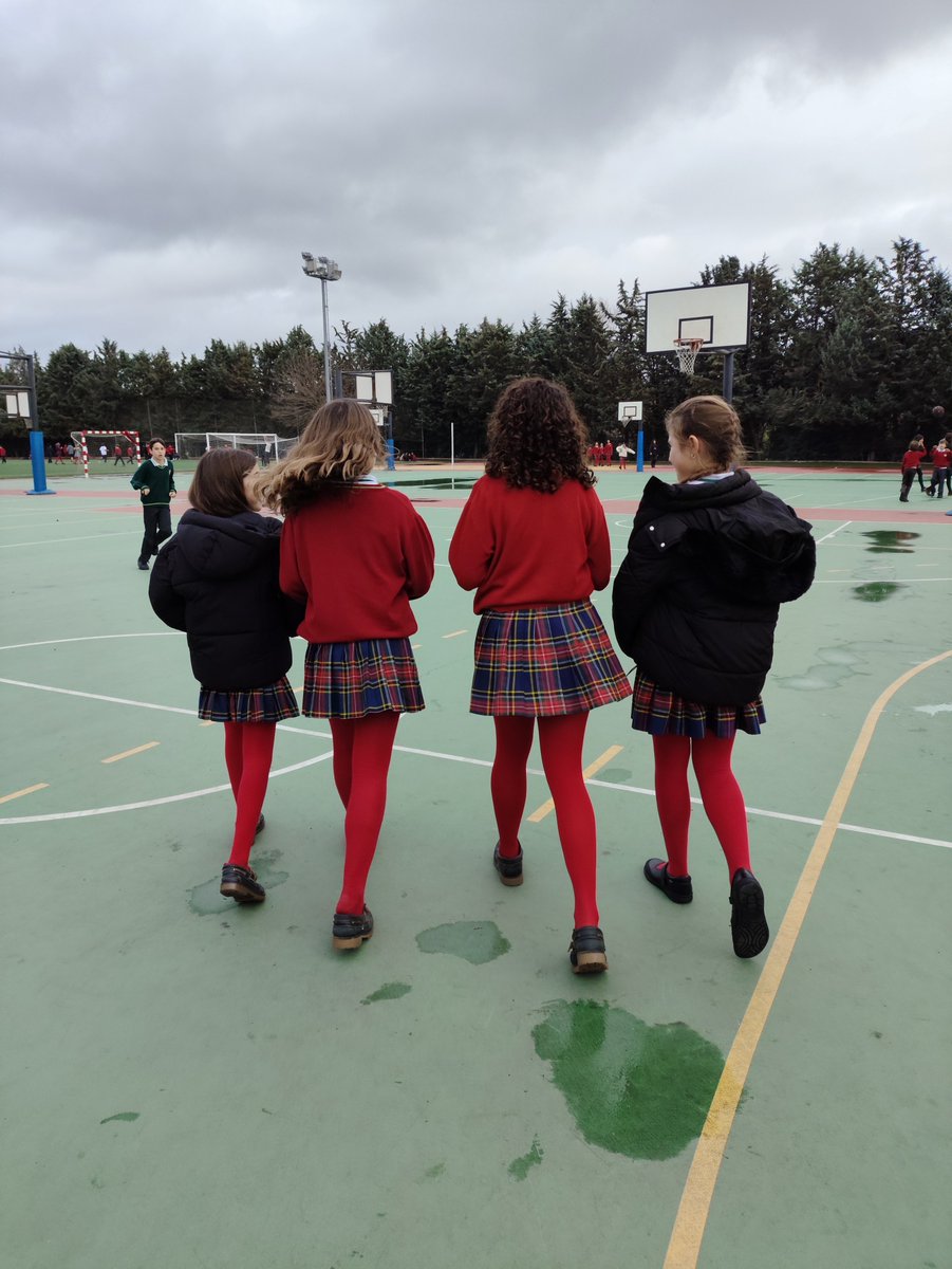 Mirabal International School tweet media
