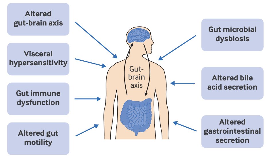 KewinSiah's tweet photo. Exploring non-pharmaceutical treatments for IBS? 🌟 Dive into this @bmj_latest review highlighting dietary, behavioral, and complementary therapies for improving quality of life in IBS patients. The future of IBS care is here! 🔗 Read more https://t.co/PFU0ZQEWnp #IBS #Gitwitter https://t.co/ng0681Ys7c