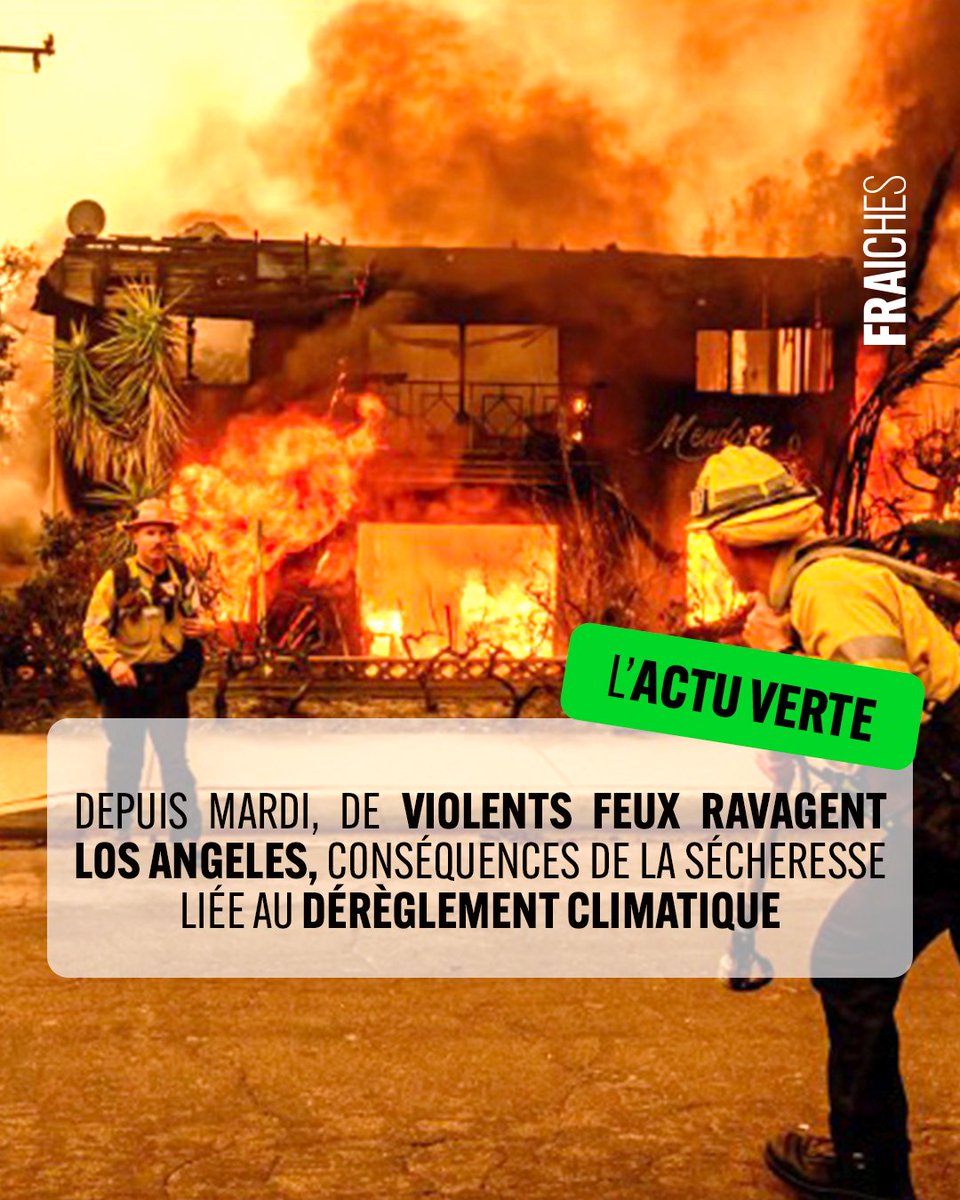 Un incendie dévastateur, baptisé « Sunset Fire », un incendie ravage actuellement Los Angeles et sa banlieue. Il a déja fait 5 morts, réduit en cendres l’équivalent de la superficie de Paris et contraint plus de 130 000 personnes à quitter leur foyer.